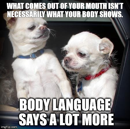 Talking dogs | WHAT COMES OUT OF YOUR MOUTH ISN'T NECESSARILY WHAT YOUR BODY SHOWS. BODY LANGUAGE SAYS A LOT MORE | image tagged in talking dogs | made w/ Imgflip meme maker