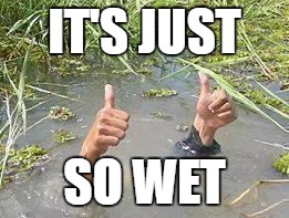 IT'S JUST SO WET | made w/ Imgflip meme maker