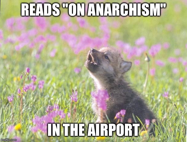 Baby Insanity Wolf | READS "ON ANARCHISM"; IN THE AIRPORT | image tagged in memes,baby insanity wolf,AdviceAnimals | made w/ Imgflip meme maker