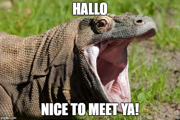 Every time I make new friends | HALLO; NICE TO MEET YA! | image tagged in hallo | made w/ Imgflip meme maker