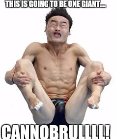 THIS IS GOING TO BE ONE GIANT.... CANNOBRULLLL! | made w/ Imgflip meme maker