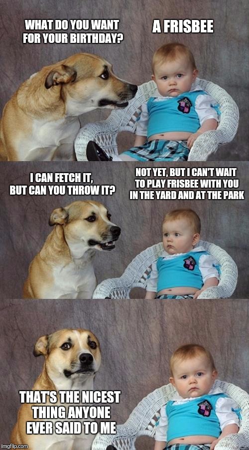 Dad Joke Dog | WHAT DO YOU WANT FOR YOUR BIRTHDAY? A FRISBEE; NOT YET, BUT I CAN'T WAIT TO PLAY FRISBEE WITH YOU IN THE YARD AND AT THE PARK; I CAN FETCH IT, BUT CAN YOU THROW IT? THAT'S THE NICEST THING ANYONE EVER SAID TO ME | image tagged in memes,dad joke dog | made w/ Imgflip meme maker