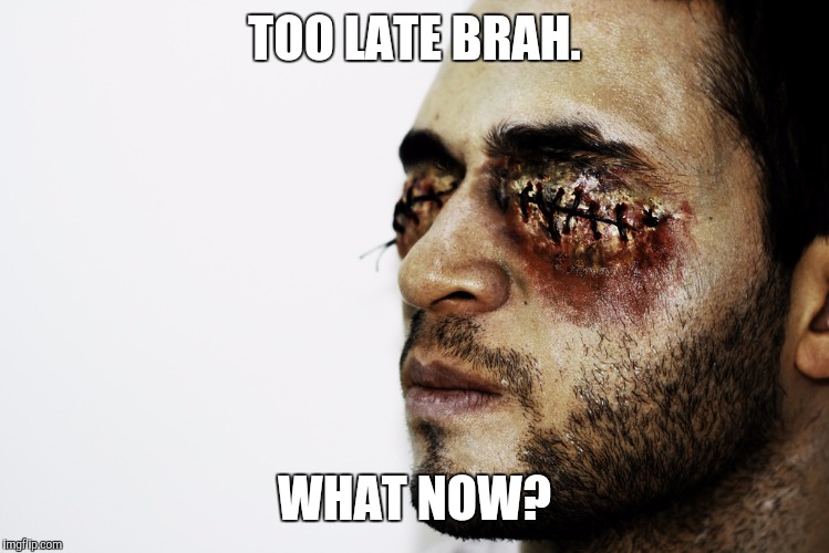 TOO LATE BRAH. WHAT NOW? | made w/ Imgflip meme maker