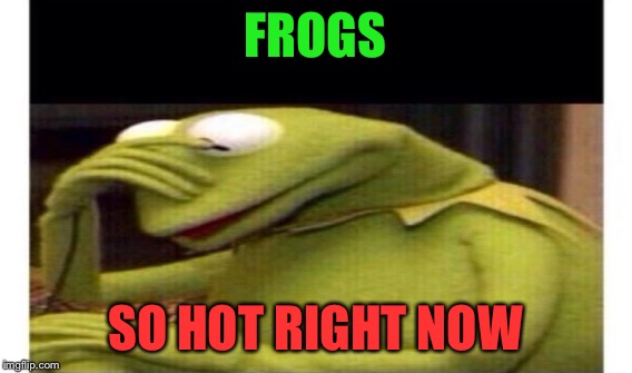 FROGS SO HOT RIGHT NOW | made w/ Imgflip meme maker