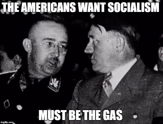 Grammar Nazis Himmler and Hitler | THE AMERICANS WANT SOCIALISM; MUST BE THE GAS | image tagged in grammar nazis himmler and hitler | made w/ Imgflip meme maker