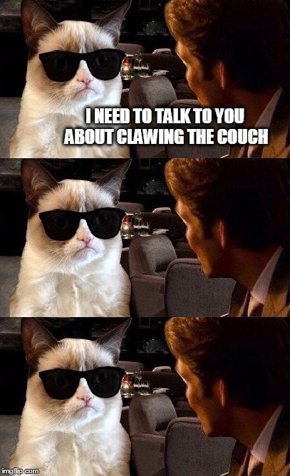 Grumpy cat adopts a policy of silence. | I NEED TO TALK TO YOU ABOUT CLAWING THE COUCH | image tagged in waiting for the funny,grumpy cat,funny meme,funny cats | made w/ Imgflip meme maker