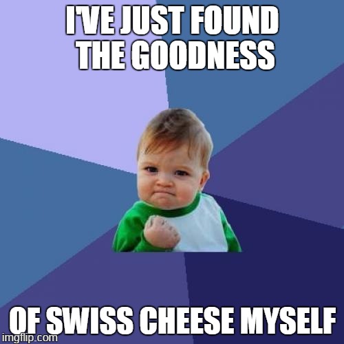 Success Kid Meme | I'VE JUST FOUND THE GOODNESS OF SWISS CHEESE MYSELF | image tagged in memes,success kid | made w/ Imgflip meme maker