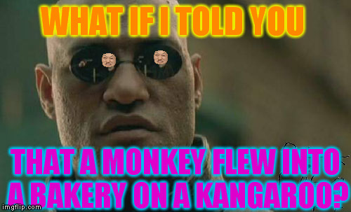 And now, something completely different... | WHAT IF I TOLD YOU; THAT A MONKEY FLEW INTO A BAKERY ON A KANGAROO? | image tagged in memes,matrix morpheus,monty python | made w/ Imgflip meme maker