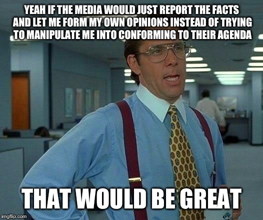 I don't want news from any specific POV. I JUST WANT THE FLIPPING NEWS | YEAH IF THE MEDIA WOULD JUST REPORT THE FACTS AND LET ME FORM MY OWN OPINIONS INSTEAD OF TRYING TO MANIPULATE ME INTO CONFORMING TO THEIR AGENDA; THAT WOULD BE GREAT | image tagged in memes,that would be great | made w/ Imgflip meme maker