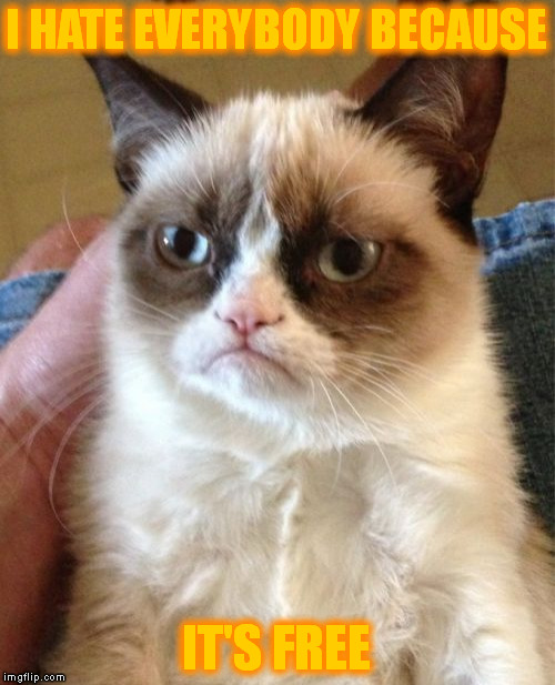 Grumpy Cat | I HATE EVERYBODY BECAUSE; IT'S FREE | image tagged in memes,grumpy cat | made w/ Imgflip meme maker