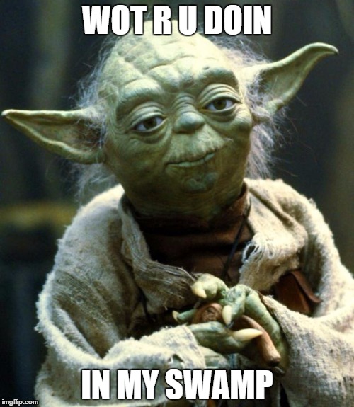 Star Wars Yoda Meme | WOT R U DOIN; IN MY SWAMP | image tagged in memes,star wars yoda | made w/ Imgflip meme maker