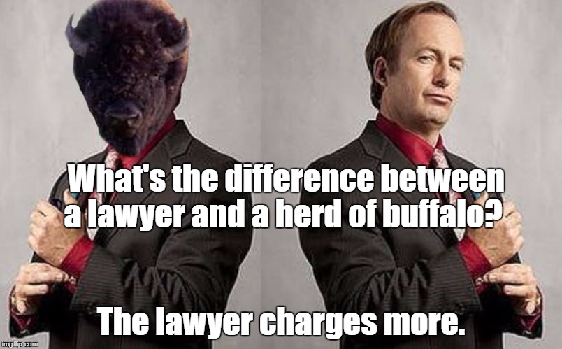 Call Saul | What's the difference between a lawyer and a herd of buffalo? The lawyer charges more. | image tagged in memes,humor,better call saul,funny | made w/ Imgflip meme maker