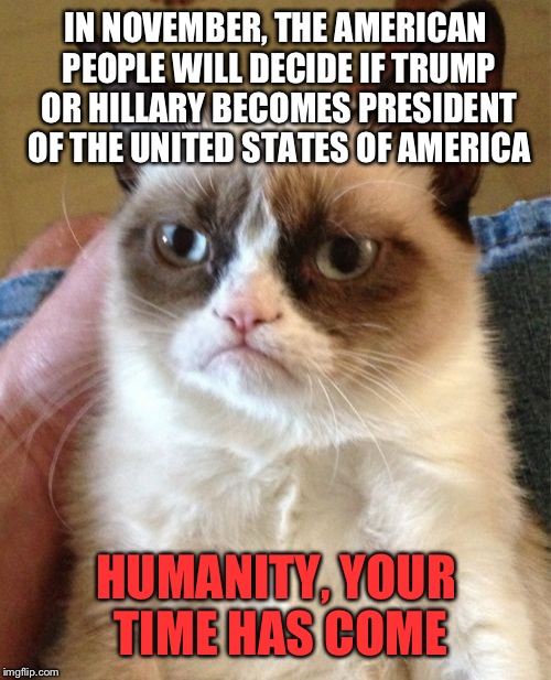 Grumpy Cat Meme | IN NOVEMBER, THE AMERICAN PEOPLE WILL DECIDE IF TRUMP OR HILLARY BECOMES PRESIDENT OF THE UNITED STATES OF AMERICA HUMANITY, YOUR TIME HAS C | image tagged in memes,grumpy cat | made w/ Imgflip meme maker