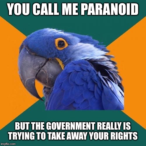 Paranoid Parrot Meme | YOU CALL ME PARANOID; BUT THE GOVERNMENT REALLY IS TRYING TO TAKE AWAY YOUR RIGHTS | image tagged in memes,paranoid parrot | made w/ Imgflip meme maker