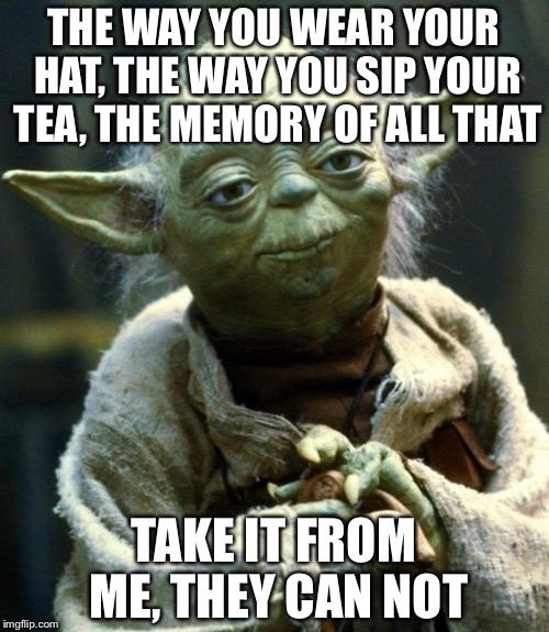 Star Wars Yoda Meme | THE WAY YOU WEAR YOUR HAT, THE WAY YOU SIP YOUR TEA, THE MEMORY OF ALL THAT; TAKE IT FROM ME, THEY CAN NOT | image tagged in memes,star wars yoda | made w/ Imgflip meme maker