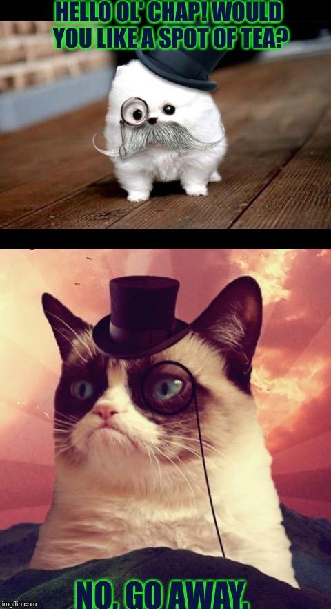 I Saw The Template and Just had Too... | HELLO OL' CHAP! WOULD YOU LIKE A SPOT OF TEA? NO, GO AWAY. | image tagged in dog,grumpy cat top hat,memes,funny,stop reading the tags,tea | made w/ Imgflip meme maker