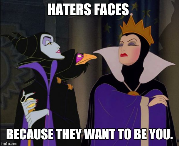 hater disney bitches | HATERS FACES; BECAUSE THEY WANT TO BE YOU. | image tagged in hater disney bitches | made w/ Imgflip meme maker