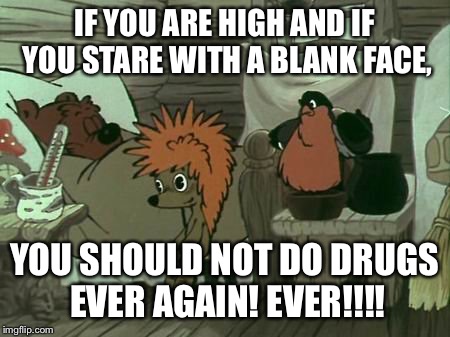 Say no to drugs  | IF YOU ARE HIGH AND IF YOU STARE WITH A BLANK FACE, YOU SHOULD NOT DO DRUGS EVER AGAIN! EVER!!!! | image tagged in hedgehog,studio ekran | made w/ Imgflip meme maker
