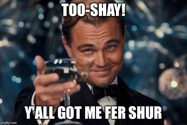 Leonardo Dicaprio Cheers Meme | TOO-SHAY! Y'ALL GOT ME FER SHUR | image tagged in memes,leonardo dicaprio cheers | made w/ Imgflip meme maker