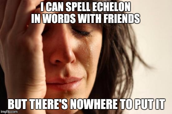 First World Problems Meme | I CAN SPELL ECHELON IN WORDS WITH FRIENDS; BUT THERE'S NOWHERE TO PUT IT | image tagged in memes,first world problems | made w/ Imgflip meme maker
