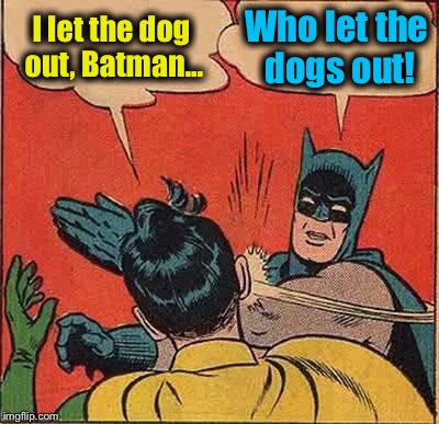 Batman Slapping Robin Meme | I let the dog out, Batman... Who let the dogs out! | image tagged in memes,batman slapping robin,funny memes,evilmandoevil | made w/ Imgflip meme maker