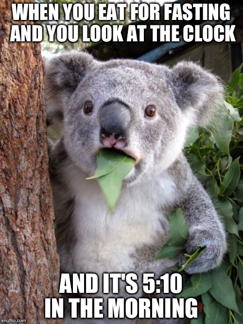 shocked koala | WHEN YOU EAT FOR FASTING AND YOU LOOK AT THE CLOCK; AND IT'S 5:10 IN THE MORNING | image tagged in shocked koala | made w/ Imgflip meme maker