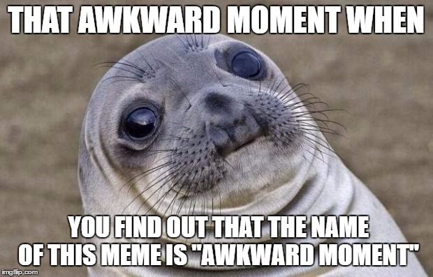 Awkward Moment Sealion | THAT AWKWARD MOMENT WHEN; YOU FIND OUT THAT THE NAME OF THIS MEME IS "AWKWARD MOMENT" | image tagged in memes,awkward moment sealion | made w/ Imgflip meme maker