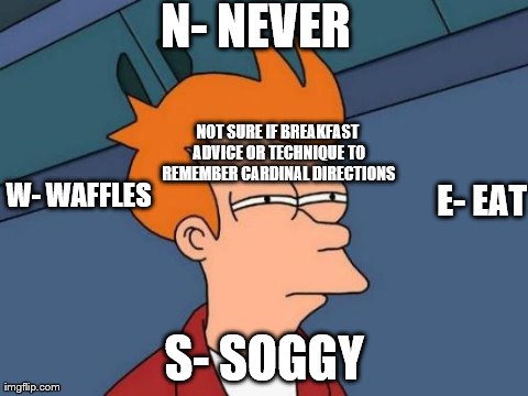 Futurama Fry Meme | N- NEVER S- SOGGY W- WAFFLES NOT SURE IF BREAKFAST ADVICE OR TECHNIQUE TO REMEMBER CARDINAL DIRECTIONS E- EAT | image tagged in memes,futurama fry,AdviceAnimals | made w/ Imgflip meme maker