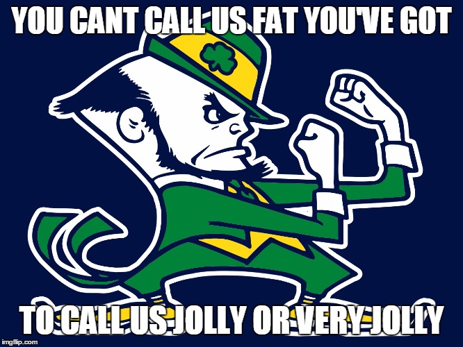 irish | YOU CANT CALL US FAT YOU'VE GOT; TO CALL US JOLLY OR VERY JOLLY | image tagged in irish | made w/ Imgflip meme maker