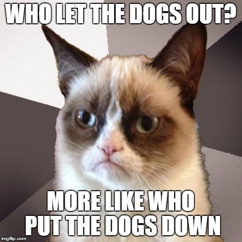 Musically Malicious Grumpy Cat | WHO LET THE DOGS OUT? MORE LIKE WHO PUT THE DOGS DOWN | image tagged in musically malicious grumpy cat | made w/ Imgflip meme maker