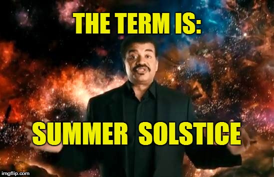 THE TERM IS: SUMMER  SOLSTICE | made w/ Imgflip meme maker
