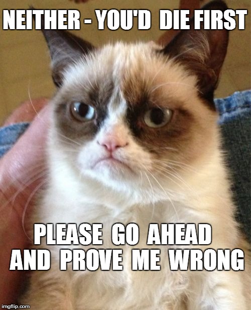 Grumpy Cat Meme | NEITHER - YOU'D  DIE FIRST PLEASE  GO  AHEAD  AND  PROVE  ME  WRONG | image tagged in memes,grumpy cat | made w/ Imgflip meme maker