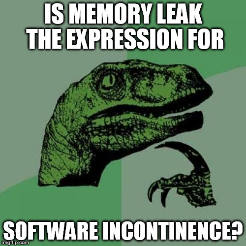 Philosoraptor | IS MEMORY LEAK THE EXPRESSION FOR; SOFTWARE INCONTINENCE? | image tagged in memes,philosoraptor | made w/ Imgflip meme maker