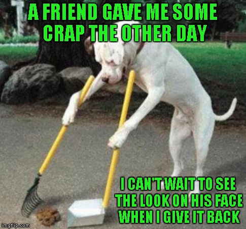 The world we live in is just a revolving door of crap sometimes. | A FRIEND GAVE ME SOME CRAP THE OTHER DAY; I CAN'T WAIT TO SEE THE LOOK ON HIS FACE WHEN I GIVE IT BACK | image tagged in dog scooping poop,memes,funny dogs,animals,funny,dog | made w/ Imgflip meme maker