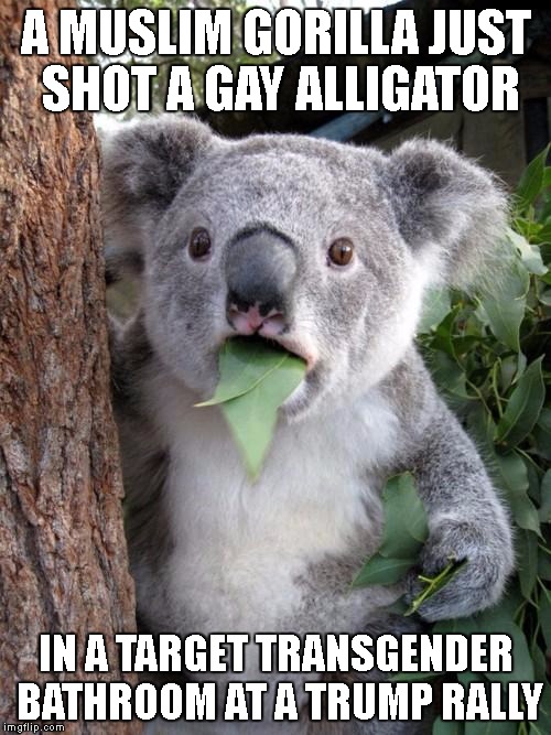 Surprised Koala | A MUSLIM GORILLA JUST SHOT A GAY ALLIGATOR; IN A TARGET TRANSGENDER BATHROOM AT A TRUMP RALLY | image tagged in memes,surprised koala | made w/ Imgflip meme maker