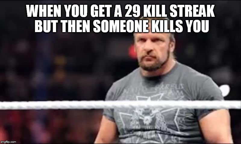 Triple H | WHEN YOU GET A 29 KILL STREAK BUT THEN SOMEONE KILLS YOU | image tagged in triple h | made w/ Imgflip meme maker
