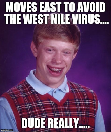 Over priced useless bug spray! | MOVES EAST TO AVOID THE WEST NILE VIRUS.... DUDE REALLY..... | image tagged in memes,bad luck brian | made w/ Imgflip meme maker