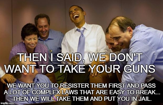 And then I said Obama | THEN I SAID, WE DON'T WANT TO TAKE YOUR GUNS; WE WANT YOU TO RESISTER THEM FIRST AND PASS A LOT OF COMPLEX LAWS THAT ARE EASY TO BREAK... THEN WE WILL TAKE THEM AND PUT YOU IN JAIL. | image tagged in memes,and then i said obama | made w/ Imgflip meme maker