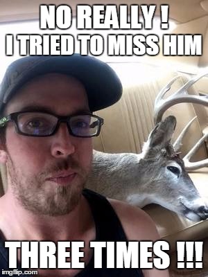 deer, roadkill, oops, almost missed him, | NO REALLY ! I TRIED TO MISS HIM; THREE TIMES !!! | image tagged in dear deer | made w/ Imgflip meme maker