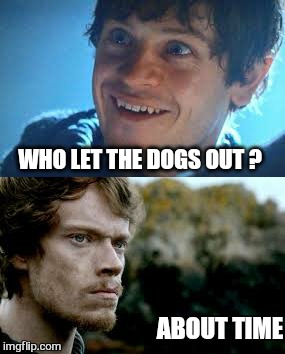 and on the seventh day ... | WHO LET THE DOGS OUT ? ABOUT TIME | image tagged in memes,game of thrones,bolton,dog,y'all got any more of them game of thrones episodes | made w/ Imgflip meme maker
