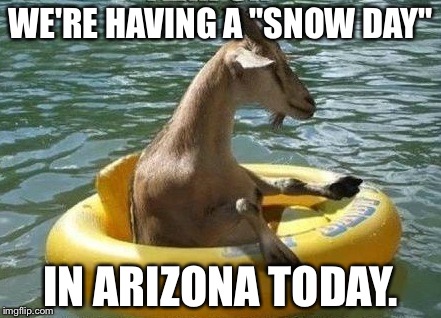 Floating Goat | WE'RE HAVING A "SNOW DAY"; IN ARIZONA TODAY. | image tagged in floating goat | made w/ Imgflip meme maker
