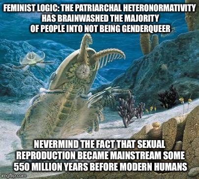FEMINIST LOGIC: THE PATRIARCHAL HETERONORMATIVITY HAS BRAINWASHED THE MAJORITY OF PEOPLE INTO NOT BEING GENDERQUEER; NEVERMIND THE FACT THAT SEXUAL REPRODUCTION BECAME MAINSTREAM SOME 550 MILLION YEARS BEFORE MODERN HUMANS | image tagged in cambrian explosion | made w/ Imgflip meme maker