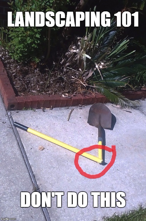 What happened? | LANDSCAPING 101; DON'T DO THIS | image tagged in funny memes,memes | made w/ Imgflip meme maker