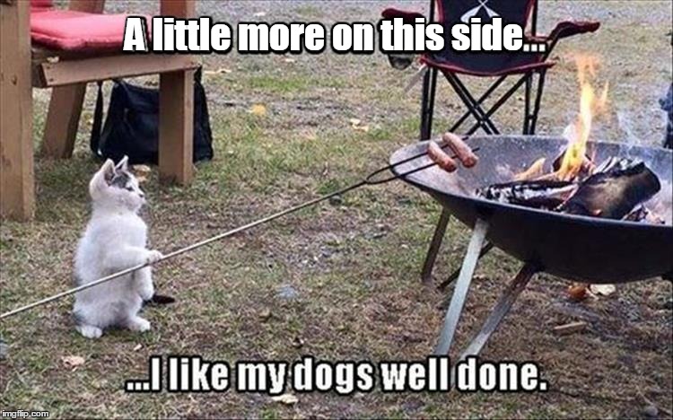 Grumpy Cat would be so proud.  | A little more on this side | image tagged in cooking hot dogs,funny meme | made w/ Imgflip meme maker