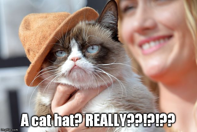 You would be well-advised to check you shoes in the morning, but I'd prefer if you didn't. | A cat hat? REALLY??!?!?? | image tagged in grumpy cat hat,memes,funny | made w/ Imgflip meme maker