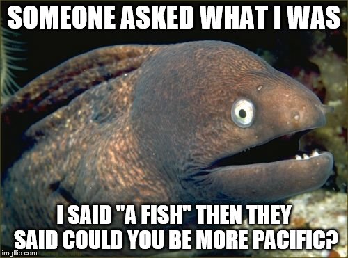 Bad Joke Eel | SOMEONE ASKED WHAT I WAS; I SAID "A FISH" THEN THEY SAID COULD YOU BE MORE PACIFIC? | image tagged in memes,bad joke eel | made w/ Imgflip meme maker