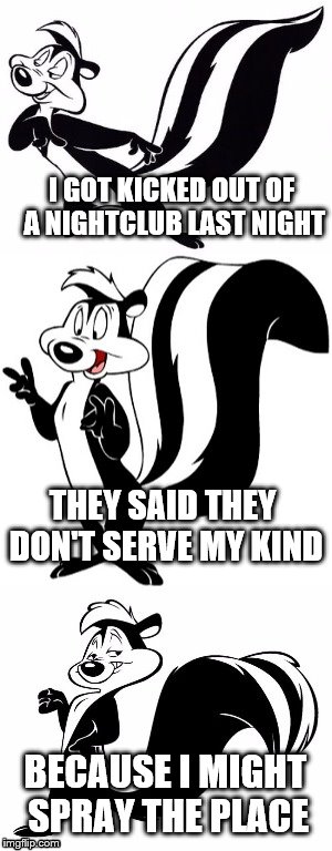 Bad Pun le Pew | I GOT KICKED OUT OF A NIGHTCLUB LAST NIGHT; THEY SAID THEY DON'T SERVE MY KIND; BECAUSE I MIGHT SPRAY THE PLACE | image tagged in bad pun le pew | made w/ Imgflip meme maker