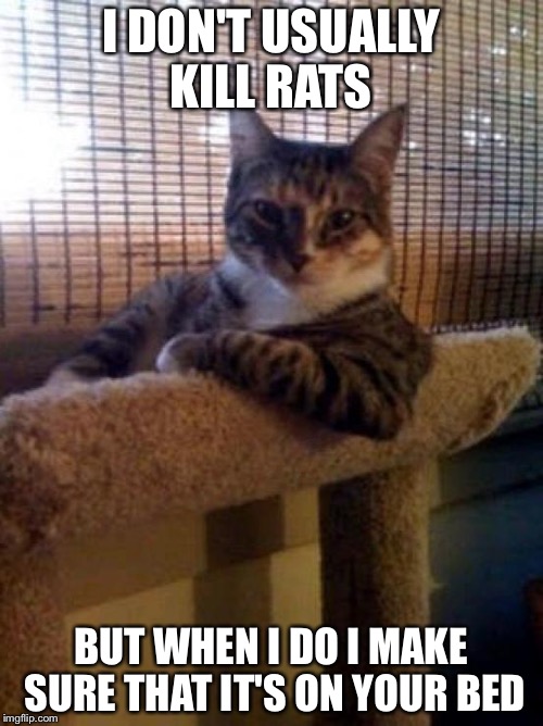 The Most Interesting Cat In The World | I DON'T USUALLY KILL RATS; BUT WHEN I DO I MAKE SURE THAT IT'S ON YOUR BED | image tagged in memes,the most interesting cat in the world | made w/ Imgflip meme maker