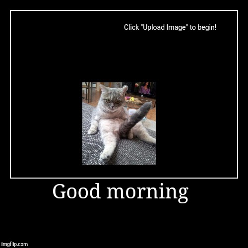 Good Morning  | image tagged in funny,demotivationals | made w/ Imgflip demotivational maker