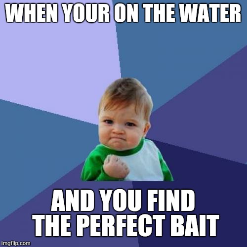 Success Kid | WHEN YOUR ON THE WATER; AND YOU FIND THE PERFECT BAIT | image tagged in memes,success kid | made w/ Imgflip meme maker